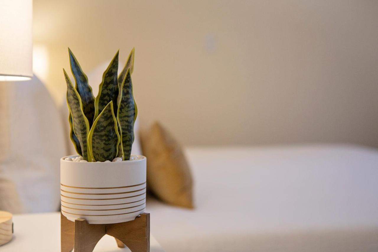 Stirling All Suites Hotel Нельсон Экстерьер фото